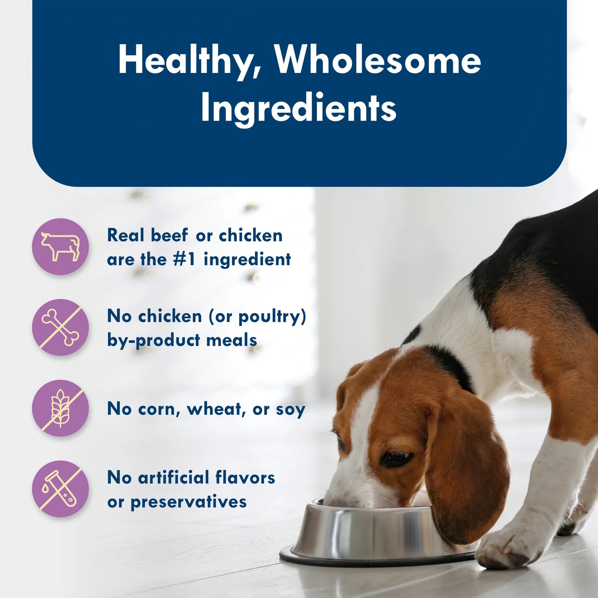 Delights Natural Wet Dog Food Variety Pack for Small Breeds, 3.5-Ounce Cups, 12 Count