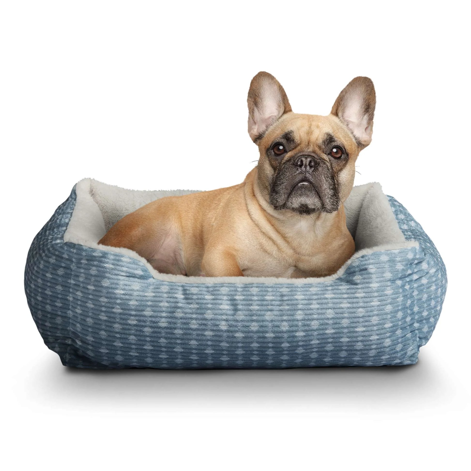 Cuddler Small Dog or Cat Bed, Blue 19" X 15"