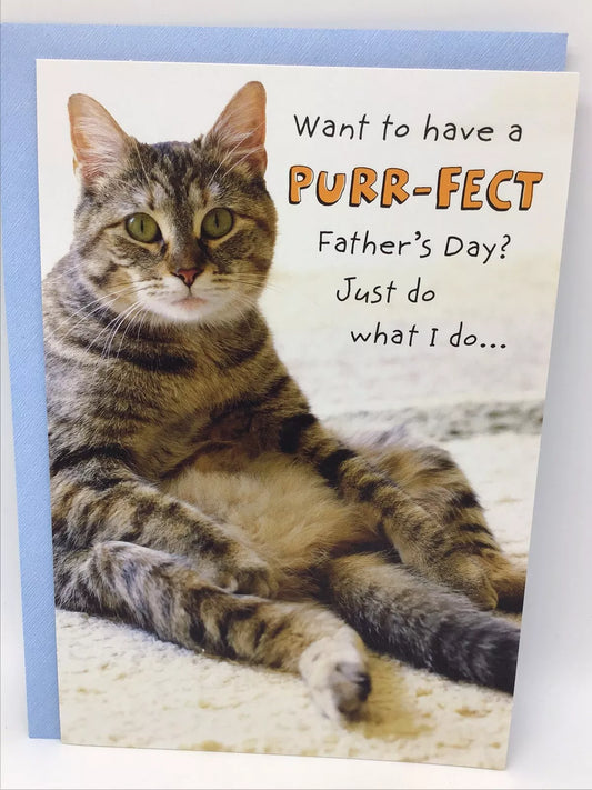 Hallmark Happy Father’s Day Card FROM THE CAT DAD 8x5.5 FAMILY FRIEND