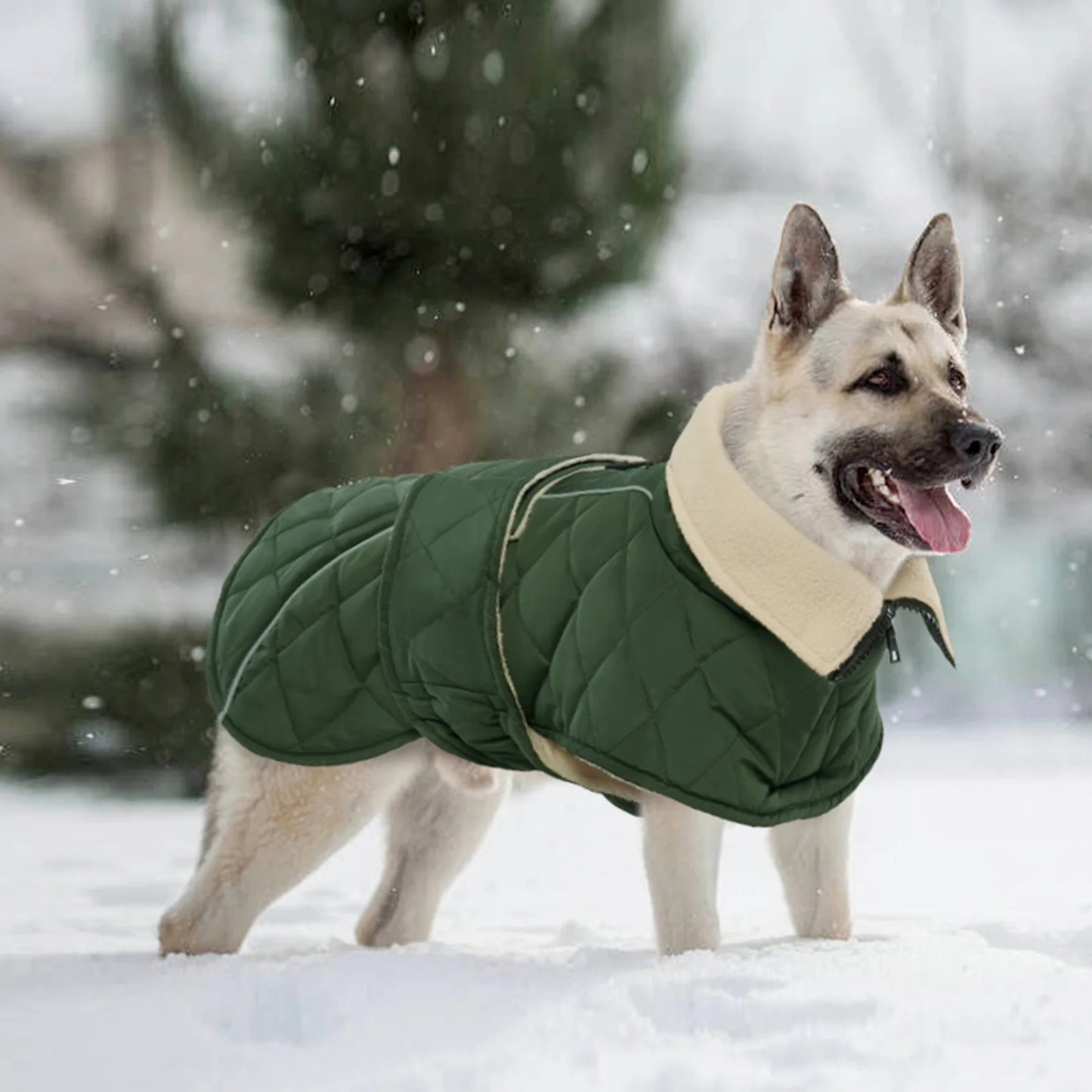 Winter Dog Coat - Warm Jacket for Small, Medium, and Large Dogs in Green, Size M