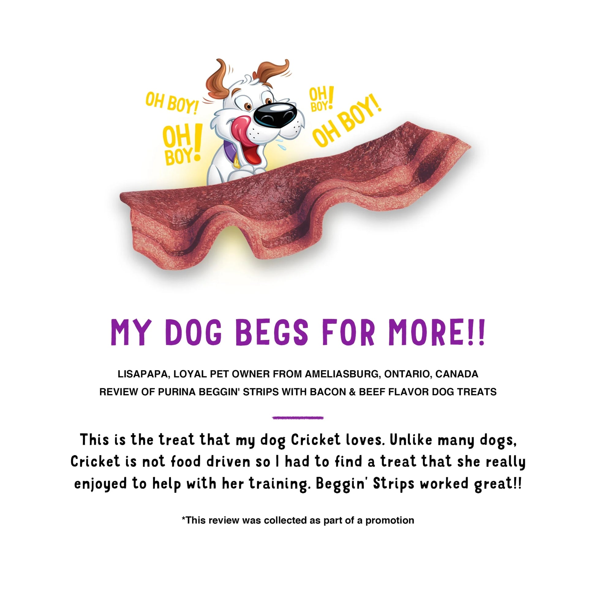 Purina  Strips Dog Treats with Real Bacon and Beef Flavors, Tender Chews, 25 oz Pouch