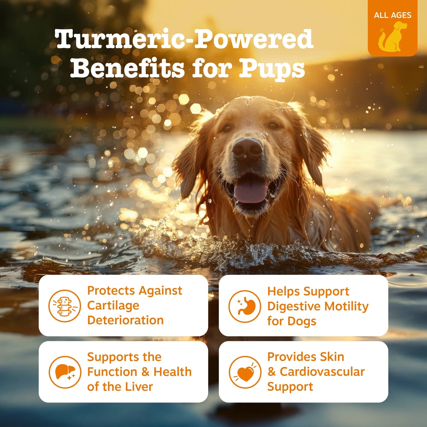 Turmeric Curcumin Chews for Dogs - Liver Support Formula with Bacon Flavor, 90 Count