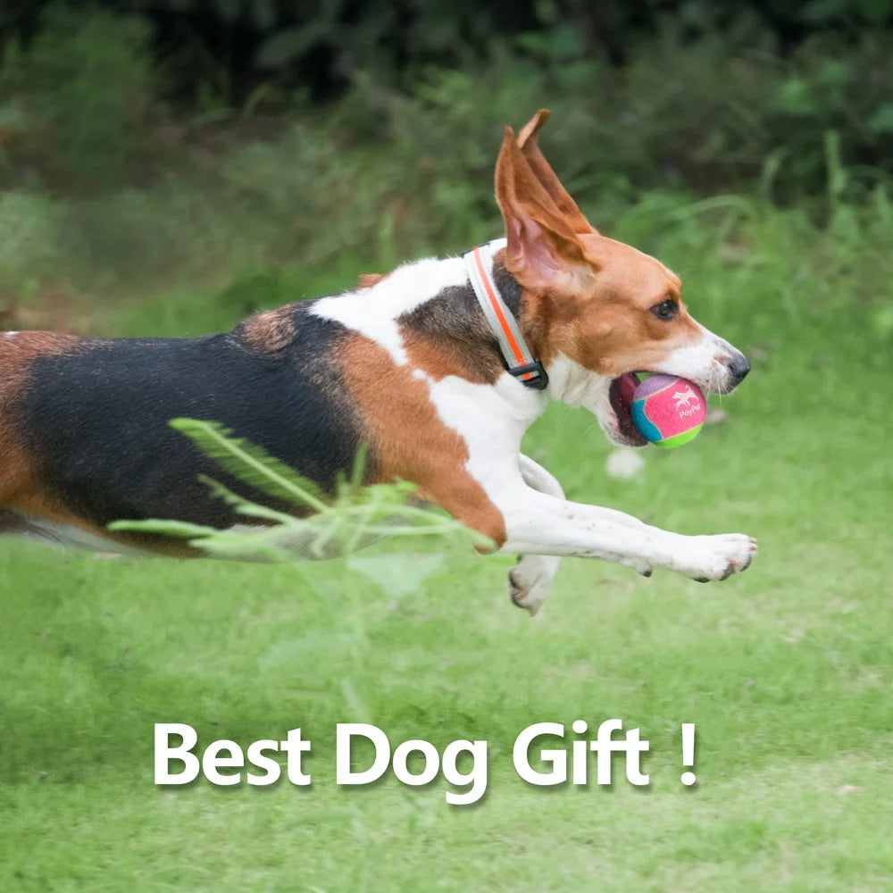 Interactive Tennis Ball Dog Toys - 6-Pack Chew Toys for Outdoor Training for Small, Medium, and Large Dogs