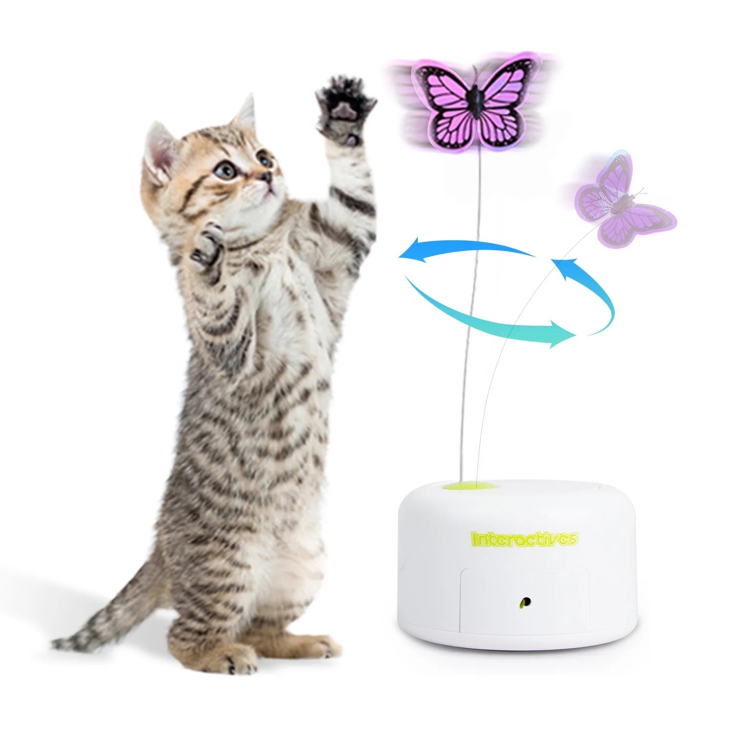 Interactive Cat Butterfly Toy with Motion Sensor and Replacement Butterfly