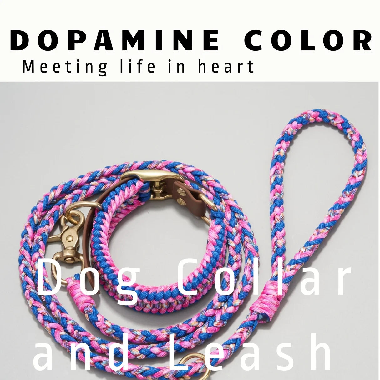 Adjustable Dog Collar and Leash Set, Reflective Collars with Brass Buckle and D-Ring for Medium Dogs Walking and Training