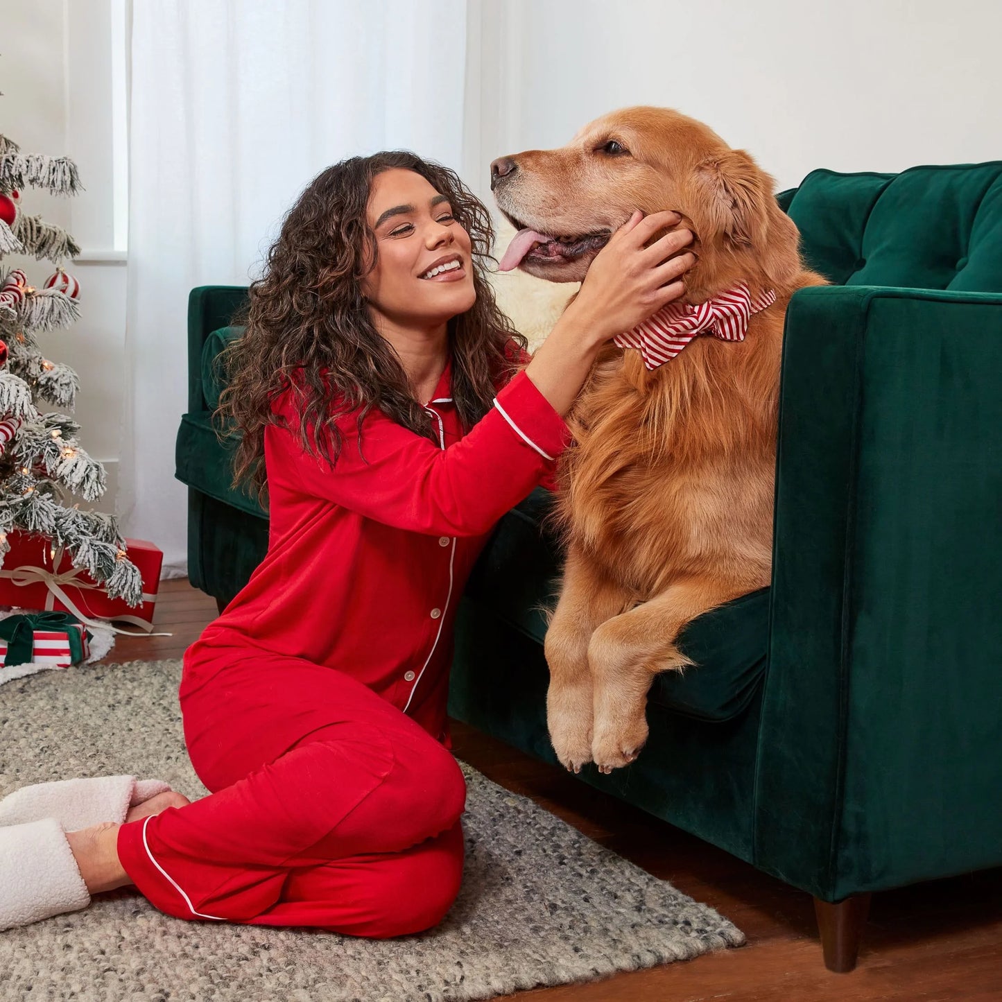 Milk Bone Holiday Dog Biscuits - 24 oz Tin