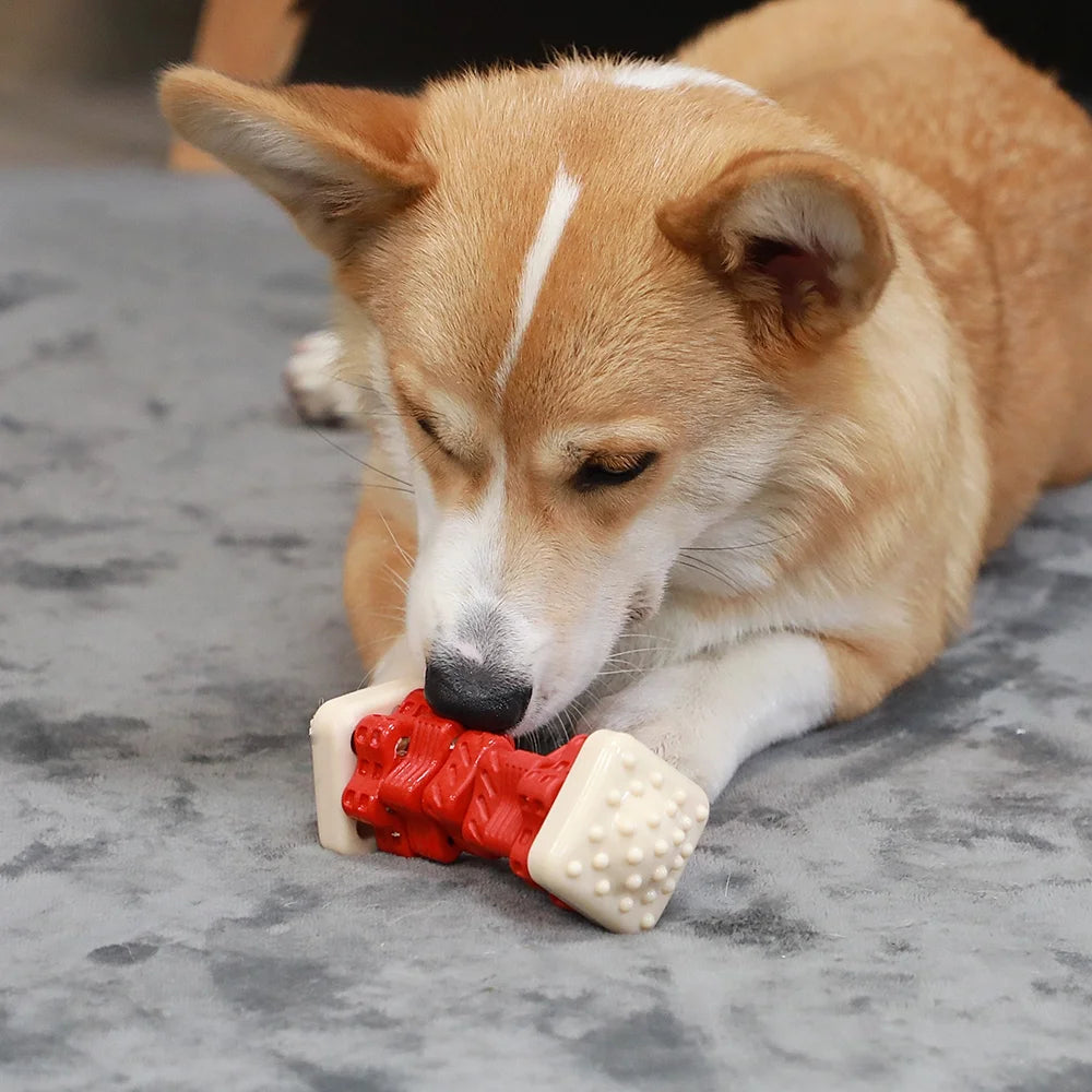 Interactive Chew Toys for Large Breed Dogs - Durable Enrichment Toys for Aggressive Chewers, Red