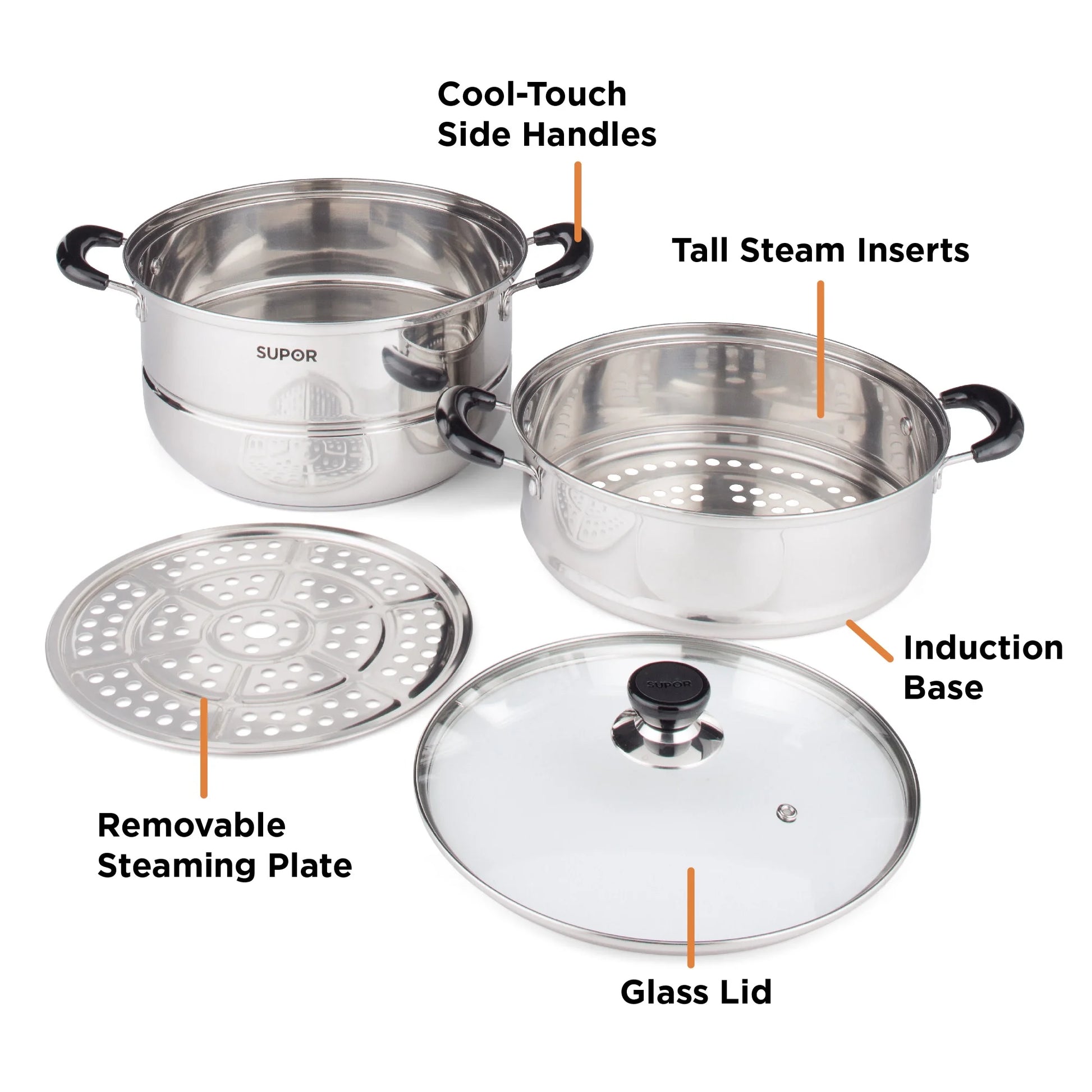 2-Tier Stainless Steel Steamer Pot with Glass Lid, 7.6QT Large, for Dumplings, Seafood, Vegetables & More