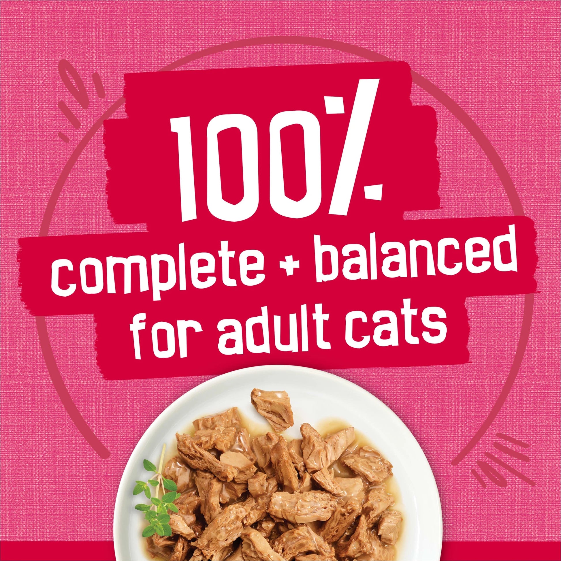 Purina  Prime Filets Salmon and Beef in Sauce Wet Cat Food, 5.5 oz Can