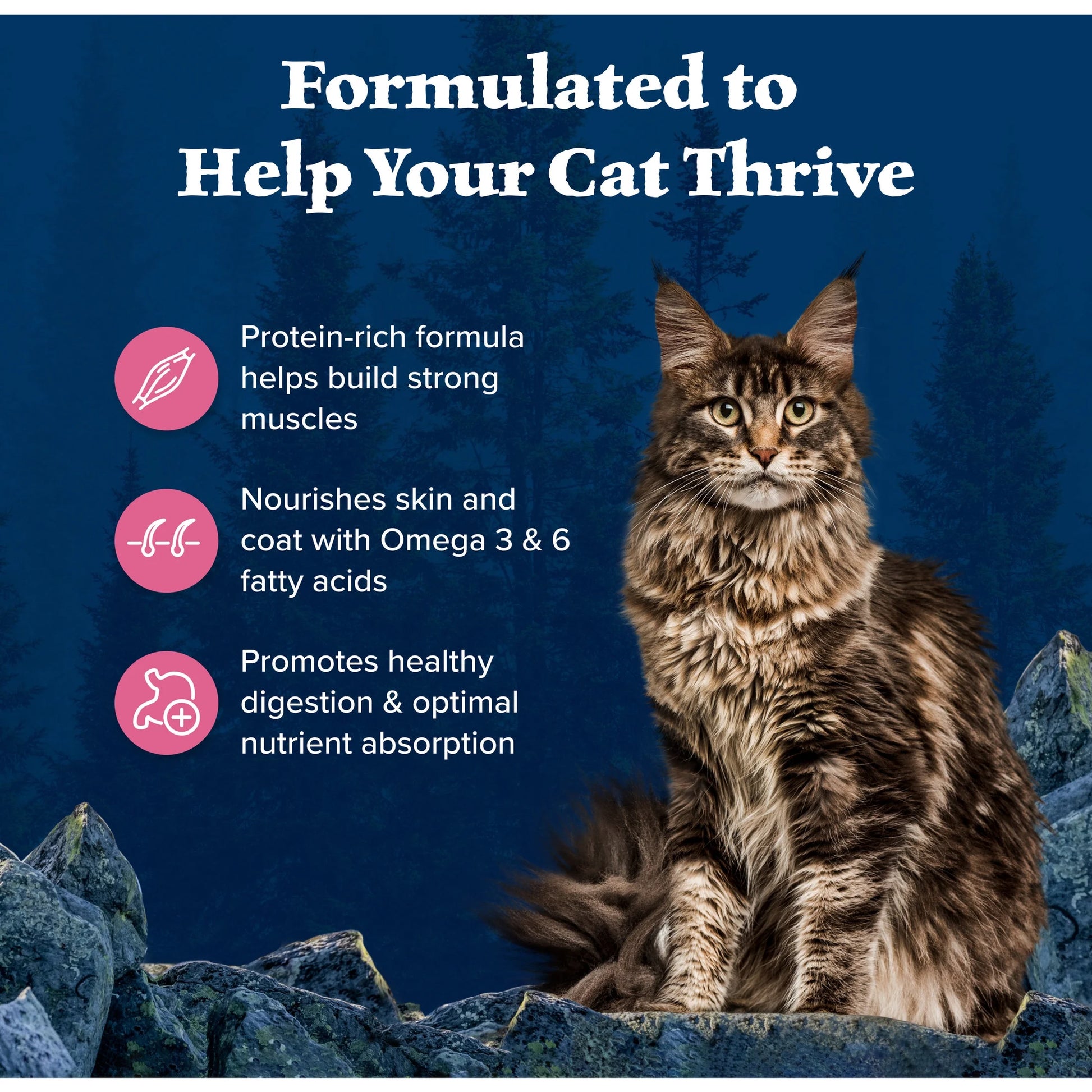 Wilderness Natural High Protein Dry Food for Adult Cats, Salmon, 11-Lb Bag
