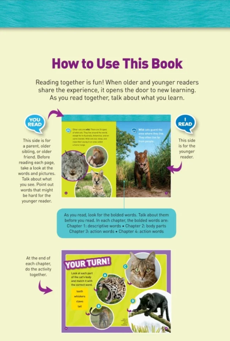 Readers: Cats (Level 1/Co-Reader) - Paperback Edition