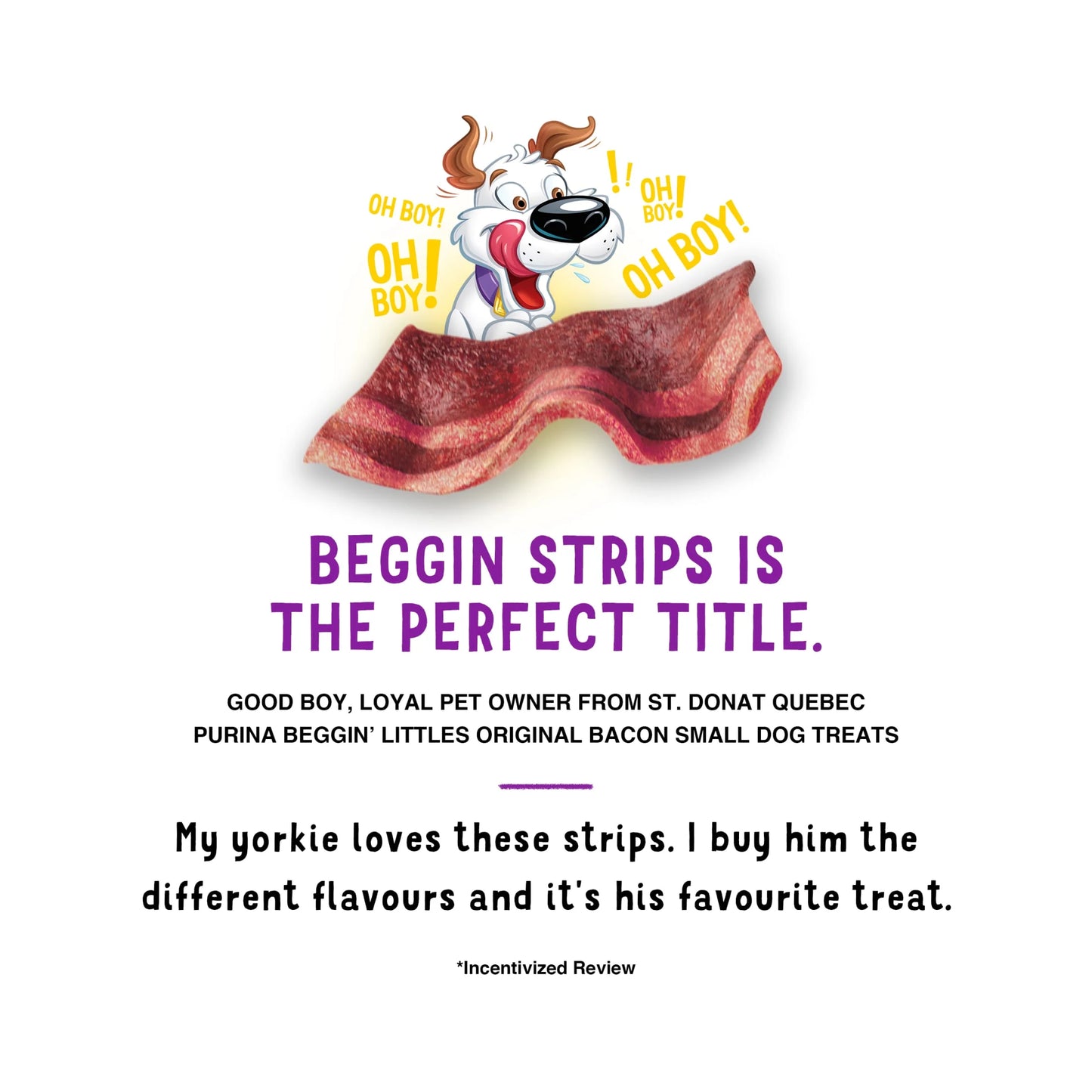 Purina  Strips Original Bacon Flavor Tender Chews for Small Dogs, 6 Oz Pouch