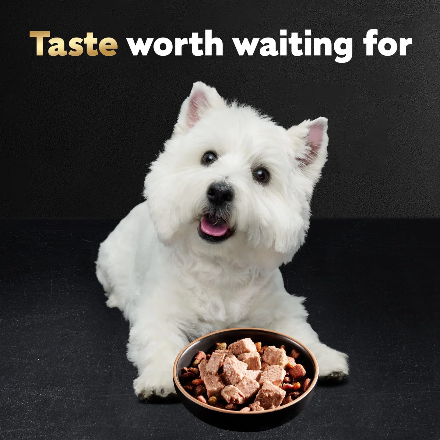 Wet Dog Food Variety Pack, 3.5 Oz Trays - 24 Count