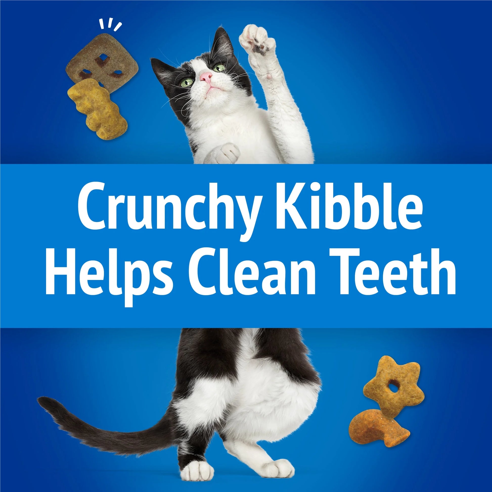 Purina  Party Mix Beachside Crunch Cat Treats with Shrimp, Crab, and Tuna, 6 oz Bag