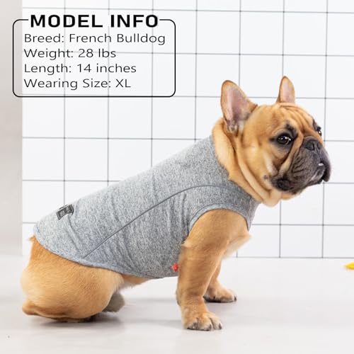 KYEESE Reflective Dog Shirt, Lightweight Sun Protection Dog T Shirts for Small Dogs Boy, Breathable Sleeveless Pet Tank Top High Visibility Summer Dogs Clothes for Night Walking Outdoor, Blue, M