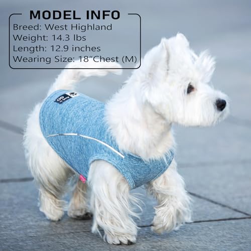 KYEESE Reflective Dog Shirt, Lightweight Sun Protection Dog T Shirts for Small Dogs Boy, Breathable Sleeveless Pet Tank Top High Visibility Summer Dogs Clothes for Night Walking Outdoor, Blue, M