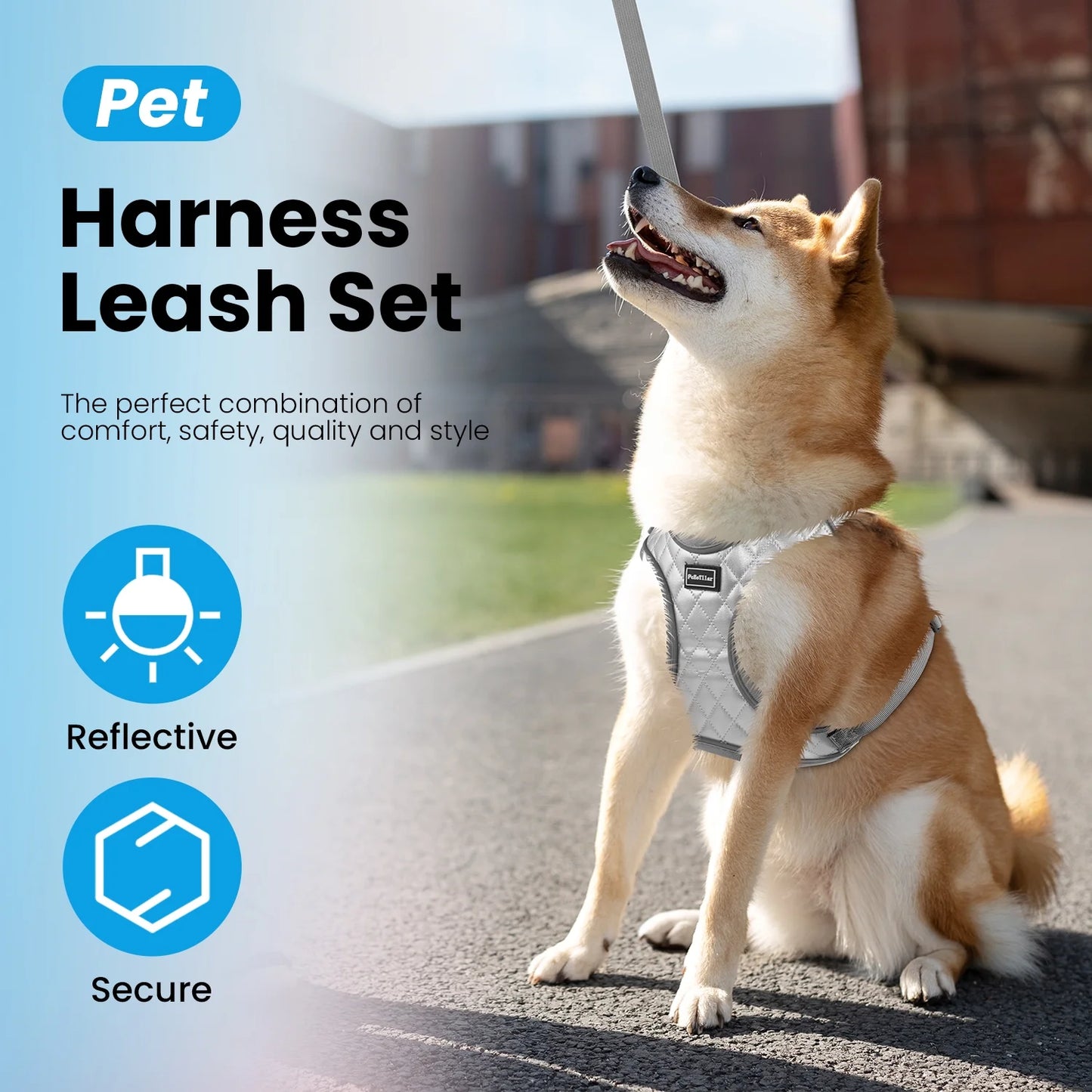 Adjustable Reflective Dog Harness and Leash Set, Escape-Proof No-Pull Vest for Small to Large Dogs, Gray, Size XS