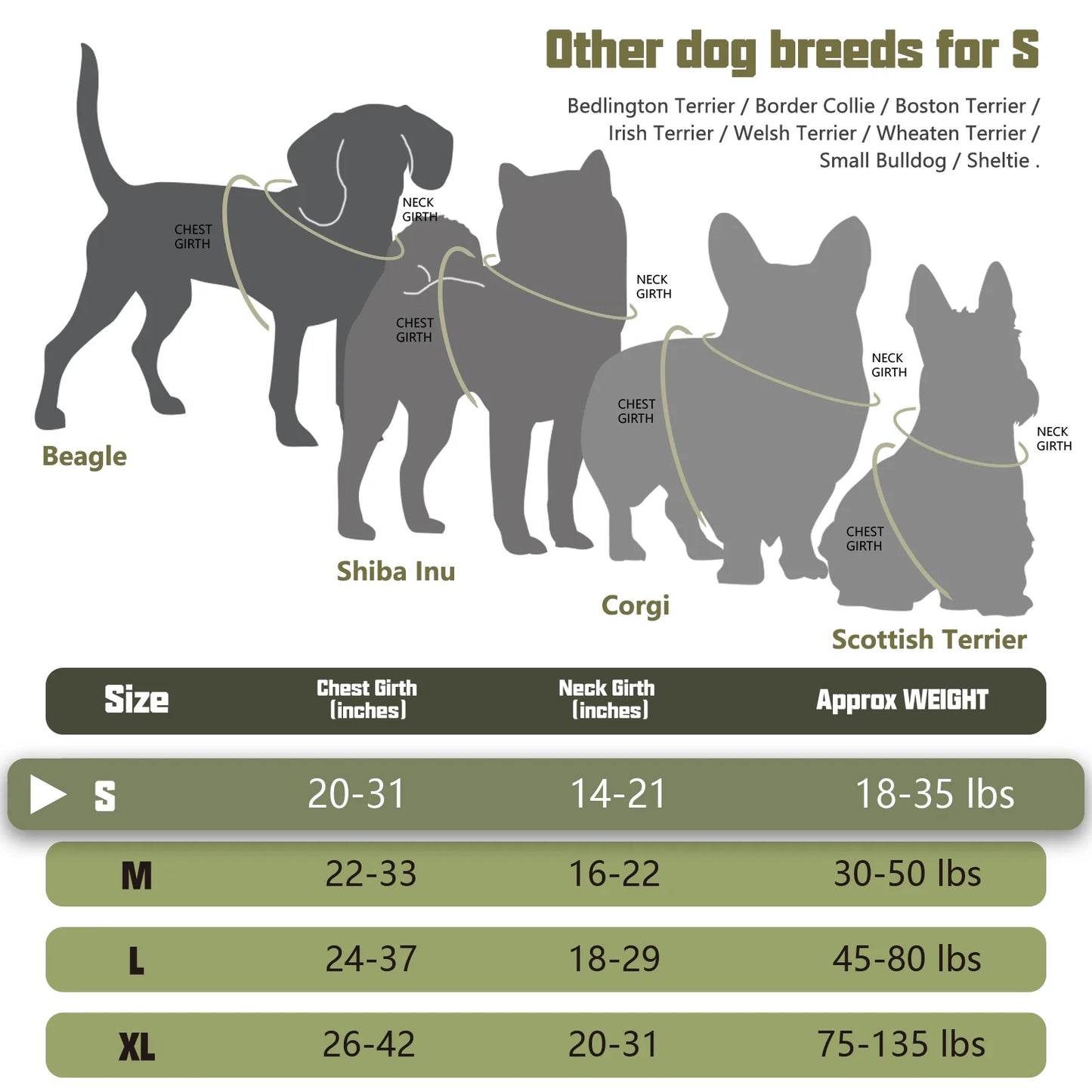 Adjustable No-Pull Dog Harness for Small Breeds, Reflective Soft Padded Vest with Dual Leash Clips for Training and Walking, Green