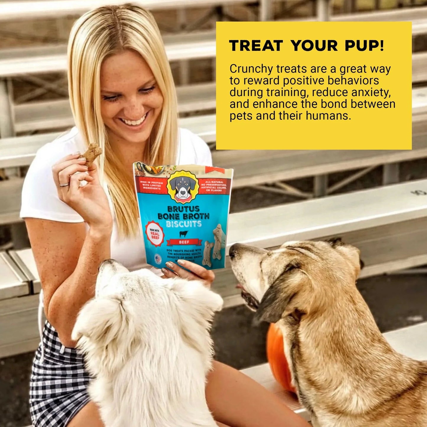 Beef Bone Broth Biscuits - Nutritious Dog Treats and Food Topper - Natural Ingredients for Joint Health - 18g Protein - 8 oz