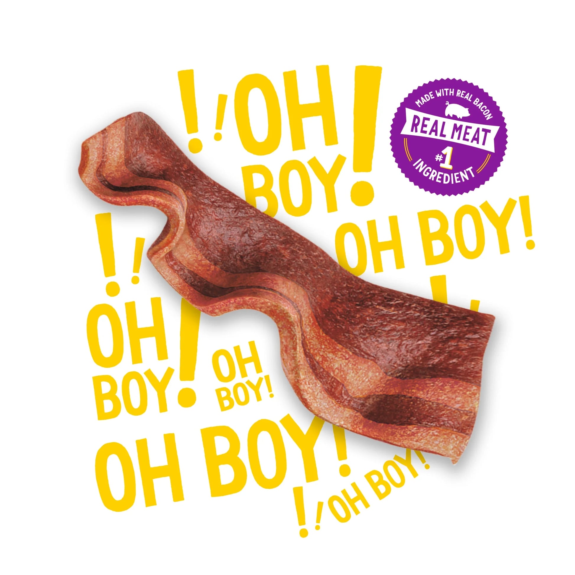 Purina  Strips Jerky Dog Treats for Adults, Original Bacon Flavor, 26 Oz Pouches (2-Pack)