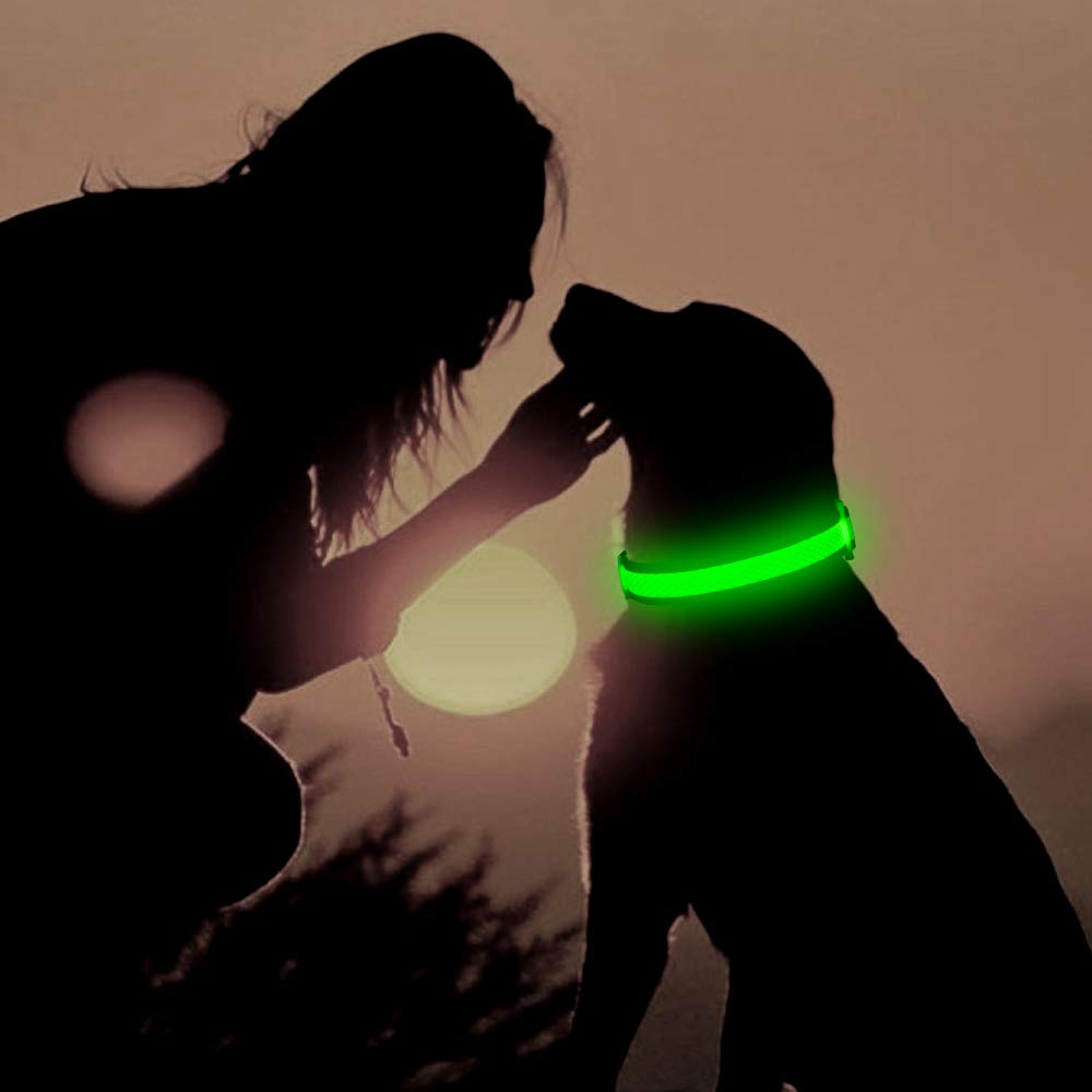 Flashseen LED Dog Collar, USB Rechargeable Light Up Dog Collar Lights, Adjustable Comfortable Soft Mesh Safety Dog Collar for Small, Medium, Large Dogs(Large, Neon Green)