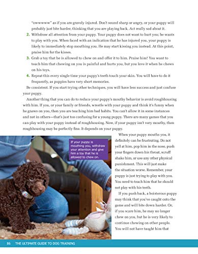 Ultimate Guide to Dog Training: Puppy Training to Advanced Techniques plus 25 Problem Behaviors Solved! (CompanionHouse Books) Manners, Housetraining, Tricks, and More, with Positive Reinforcement