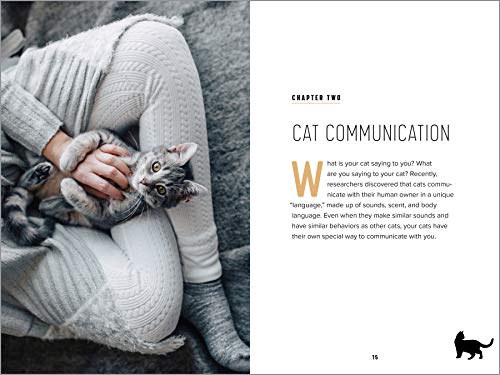 Understanding Cat Behavior: A Compassionate Guide to Training and Communication