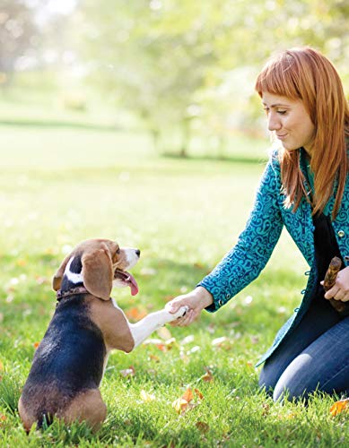 Ultimate Guide to Dog Training: Puppy Training to Advanced Techniques plus 25 Problem Behaviors Solved! (CompanionHouse Books) Manners, Housetraining, Tricks, and More, with Positive Reinforcement