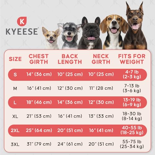 KYEESE Reflective Dog Shirt, Lightweight Sun Protection Dog T Shirts for Small Dogs Boy, Breathable Sleeveless Pet Tank Top High Visibility Summer Dogs Clothes for Night Walking Outdoor, Blue, M