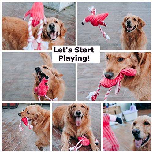 Dog Plush Toys,Cute Flamingo Durable Squeaky Teething Toys for Puppy, Interactive Stuffed Dog Chew Toys for Small-Large Dogs