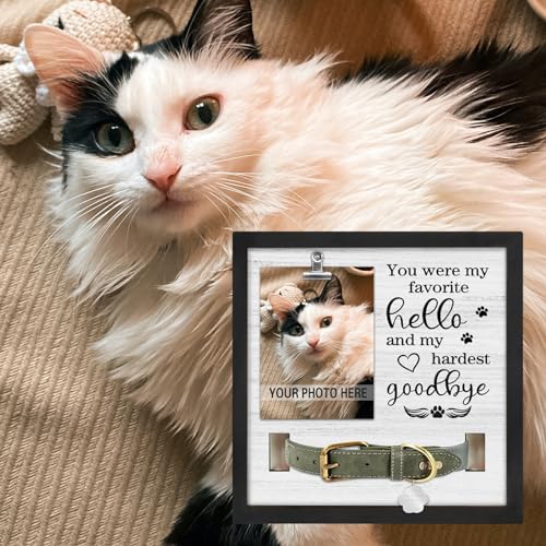 PUREFLY Dog Memorial Gifts for Loss of Dog, Loss of Dogs Sympathy Gift Pet Loss Sympathy Frame with Collar Holder, Pet Cat Remembrance Bereavement Gift