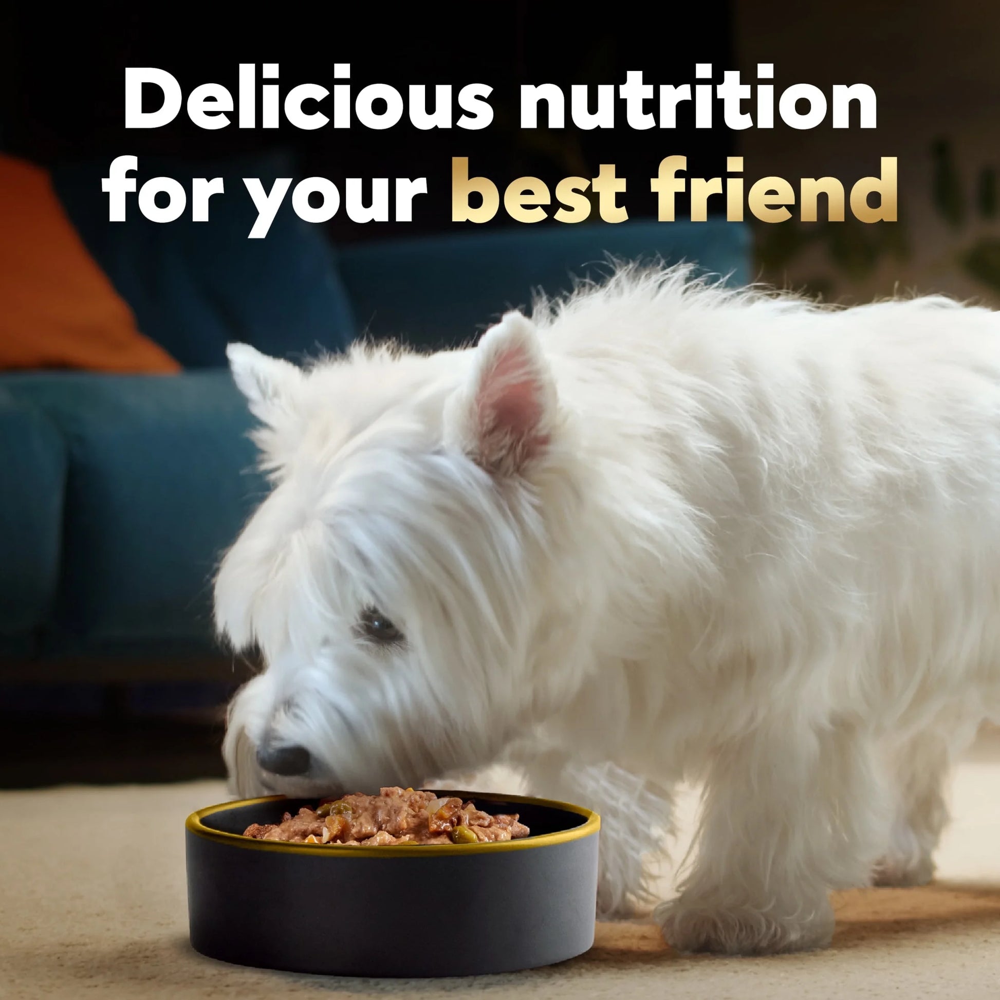 Home Delights Variety Pack Wet Dog Food, 3.5 Oz Trays (24 Count)