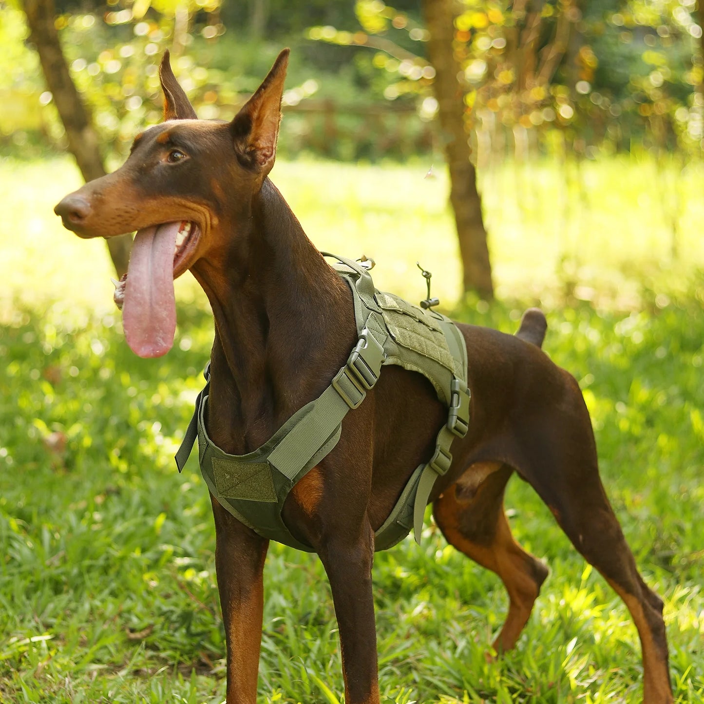 Dog Harness, No Pull Dog Harness for Large Dogs, Heavy Duty Pet Harness with Handle, Adjustable Easy on Pet Harness for Running Walking, Green L