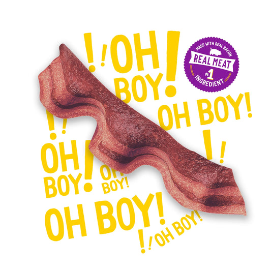 Purina  Strips Dog Treats with Real Bacon and Beef Flavors, Tender Chews, 25 oz Pouch