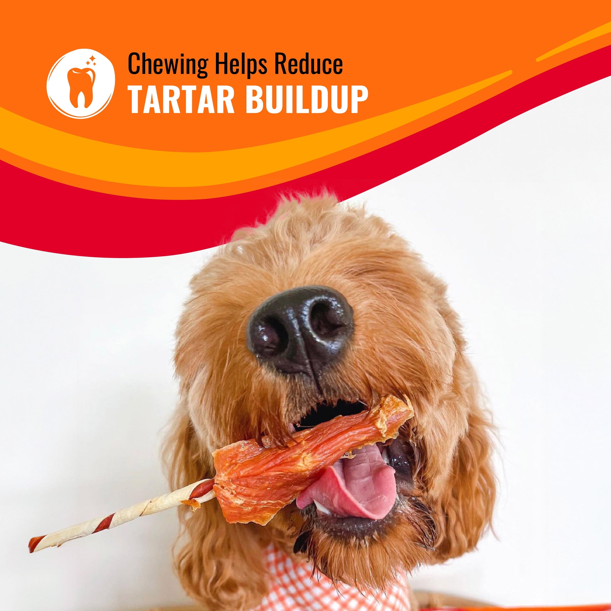 Triple Flavor Kabobs Rawhide Chews for Dogs, 4 Oz