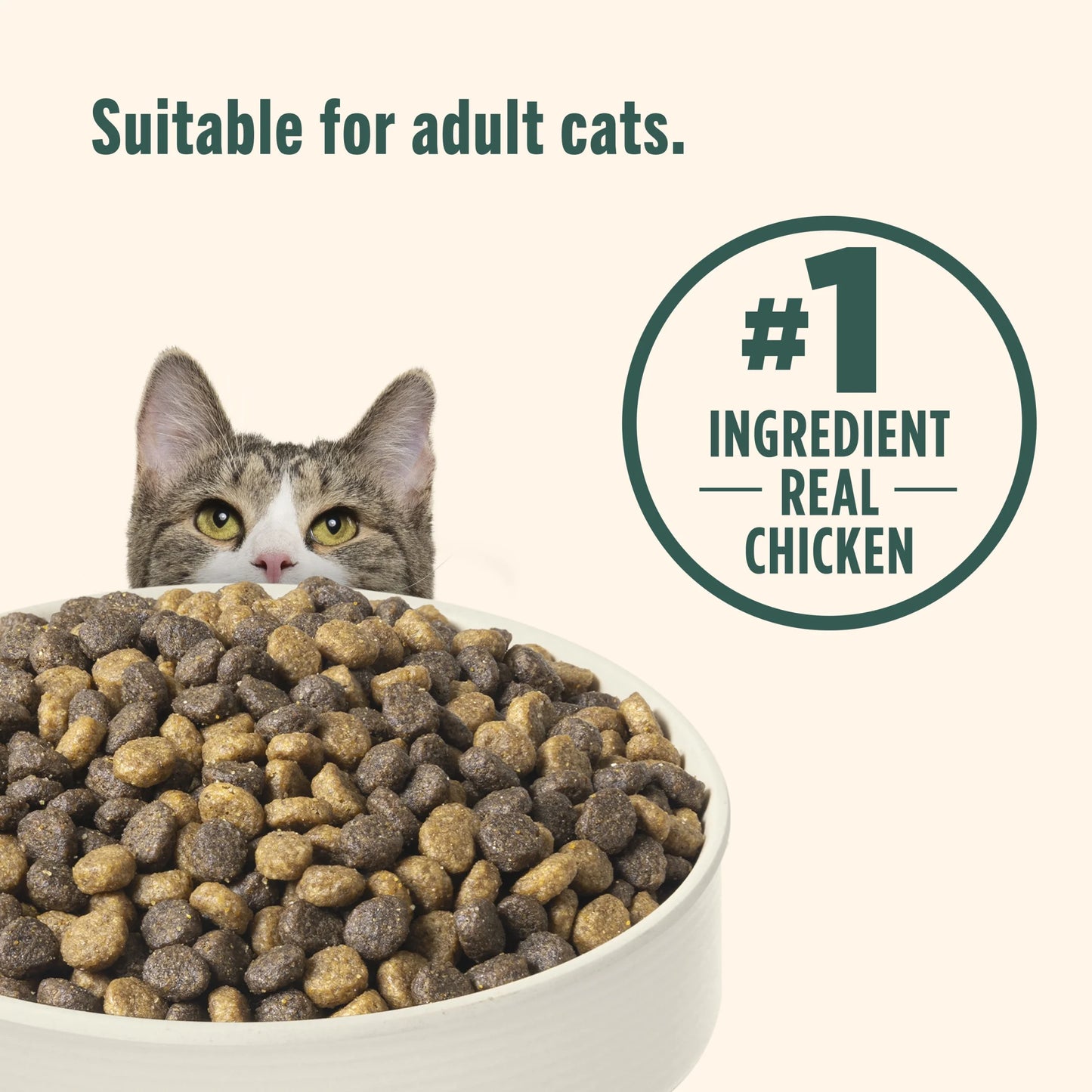 Indoor Complete Dry Cat Food with Chicken, Lentils, and Salmon by Rachael Ray, 3 lb Bag