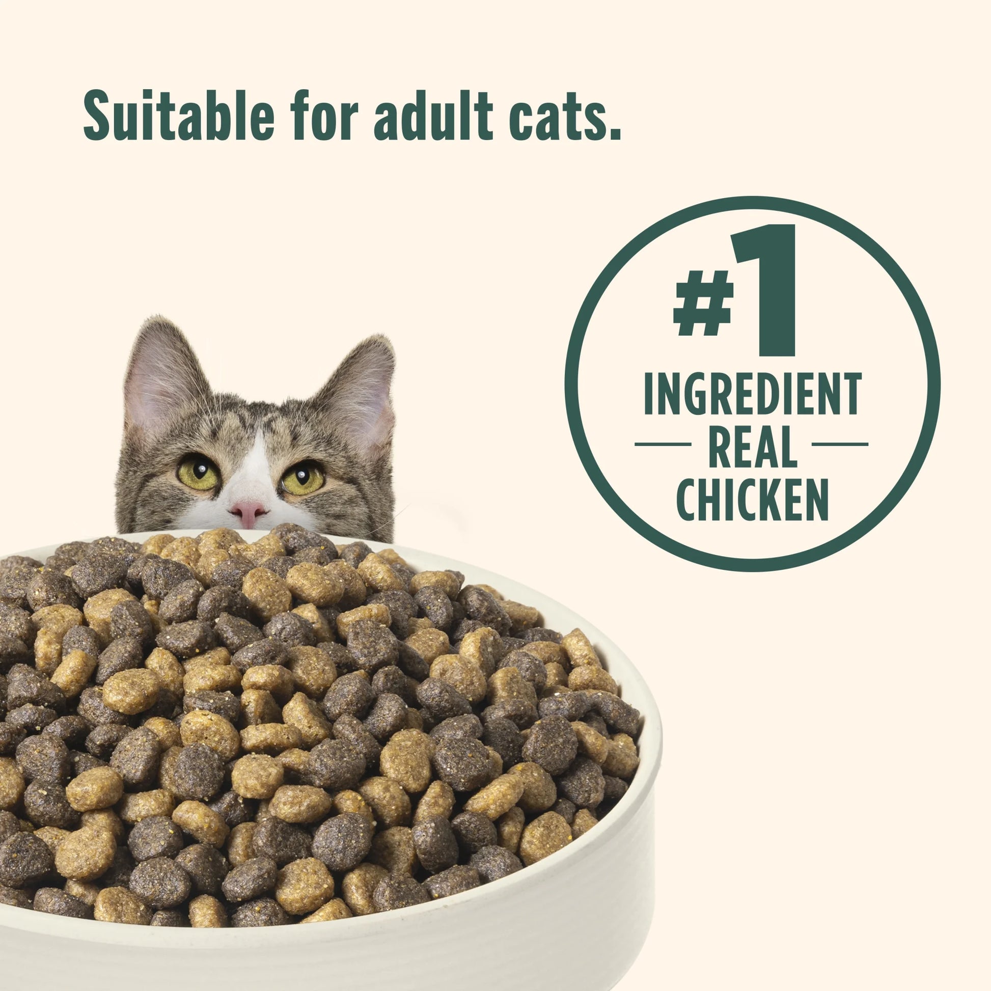 Indoor Complete Dry Cat Food with Chicken, Lentils, and Salmon by Rachael Ray, 3 lb Bag