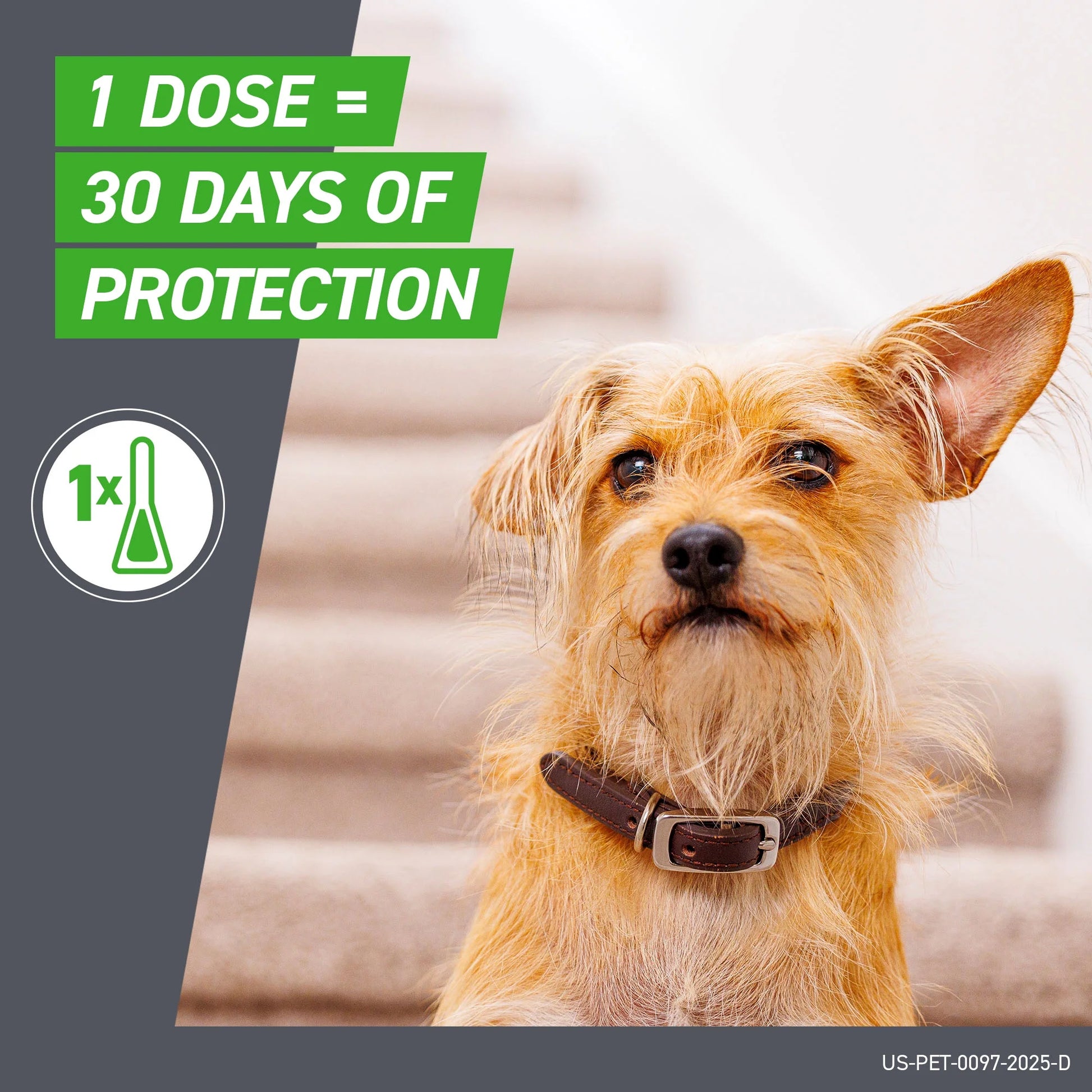 Plus Flea and Tick Spot Treatment for Small Breed Dogs (5-22 lbs), 3 Count