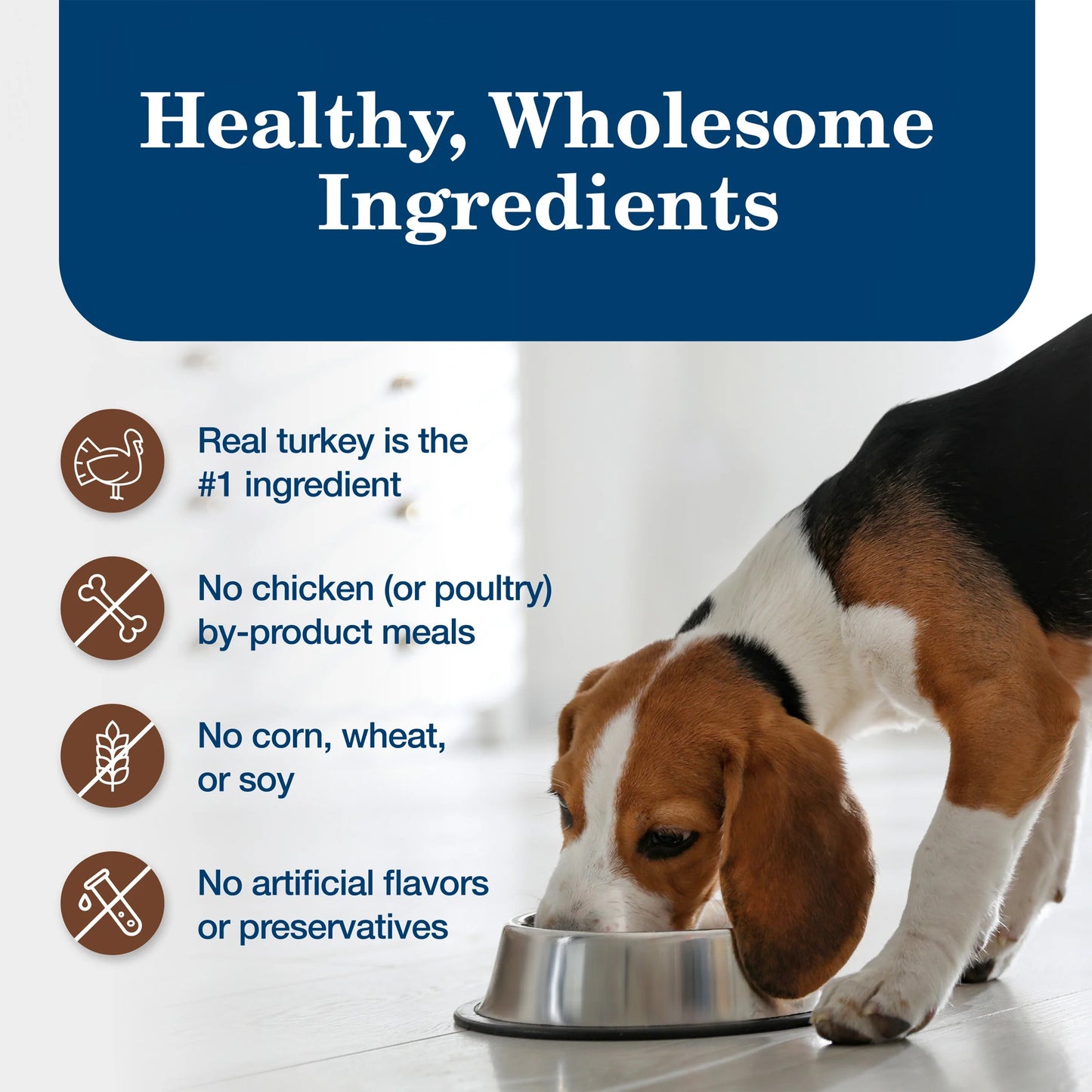 Homestyle Recipe Adult Wet Dog Food, Turkey Dinner, 12.5 oz Can