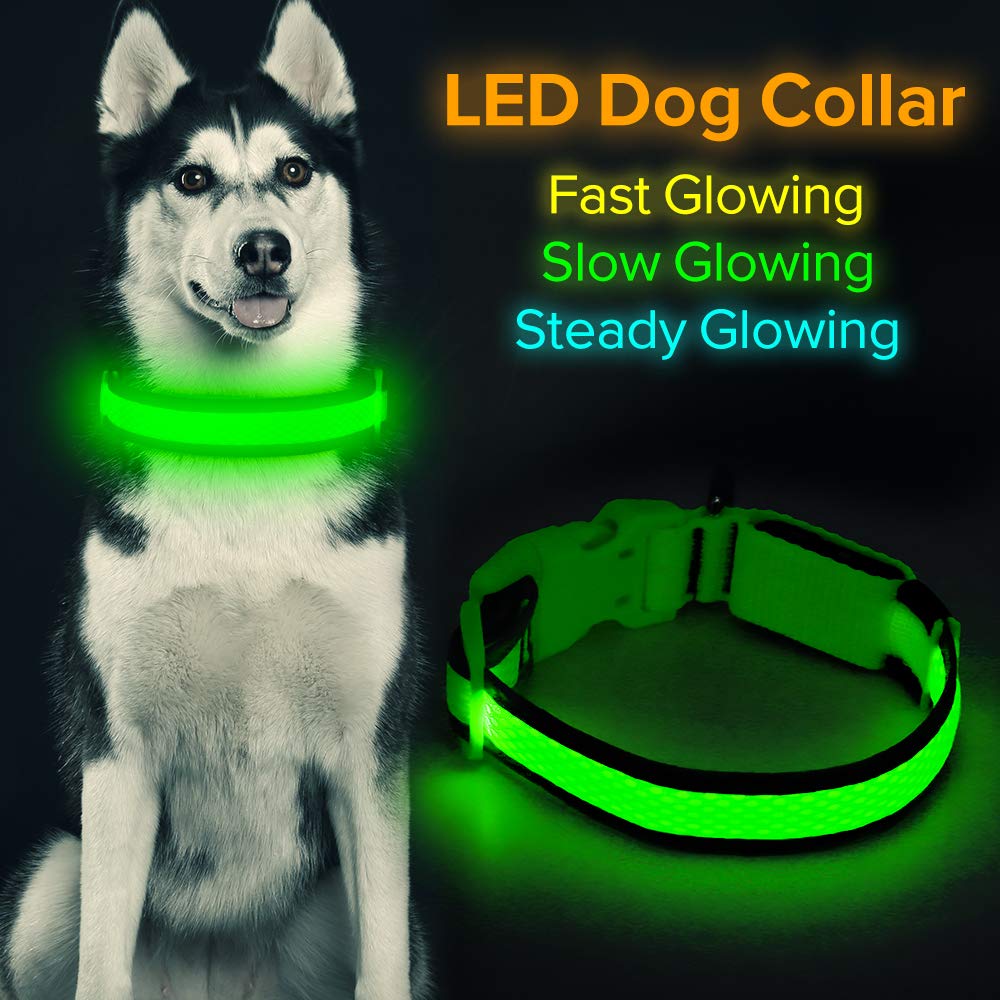 Flashseen LED Dog Collar, USB Rechargeable Light Up Dog Collar Lights, Adjustable Comfortable Soft Mesh Safety Dog Collar for Small, Medium, Large Dogs(Large, Neon Green)