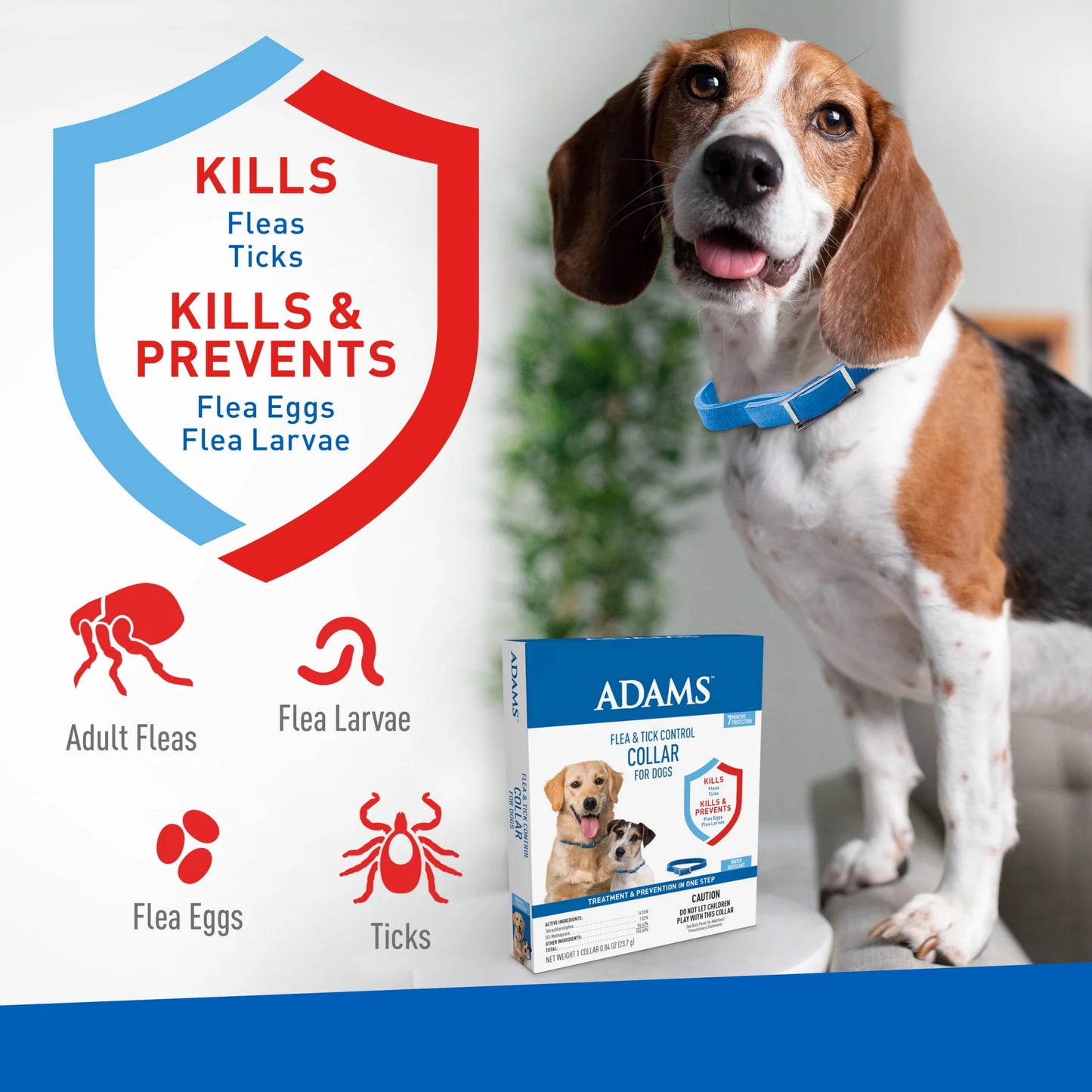 Flea and Tick Control Collar for Dogs and Puppies - Single Pack
