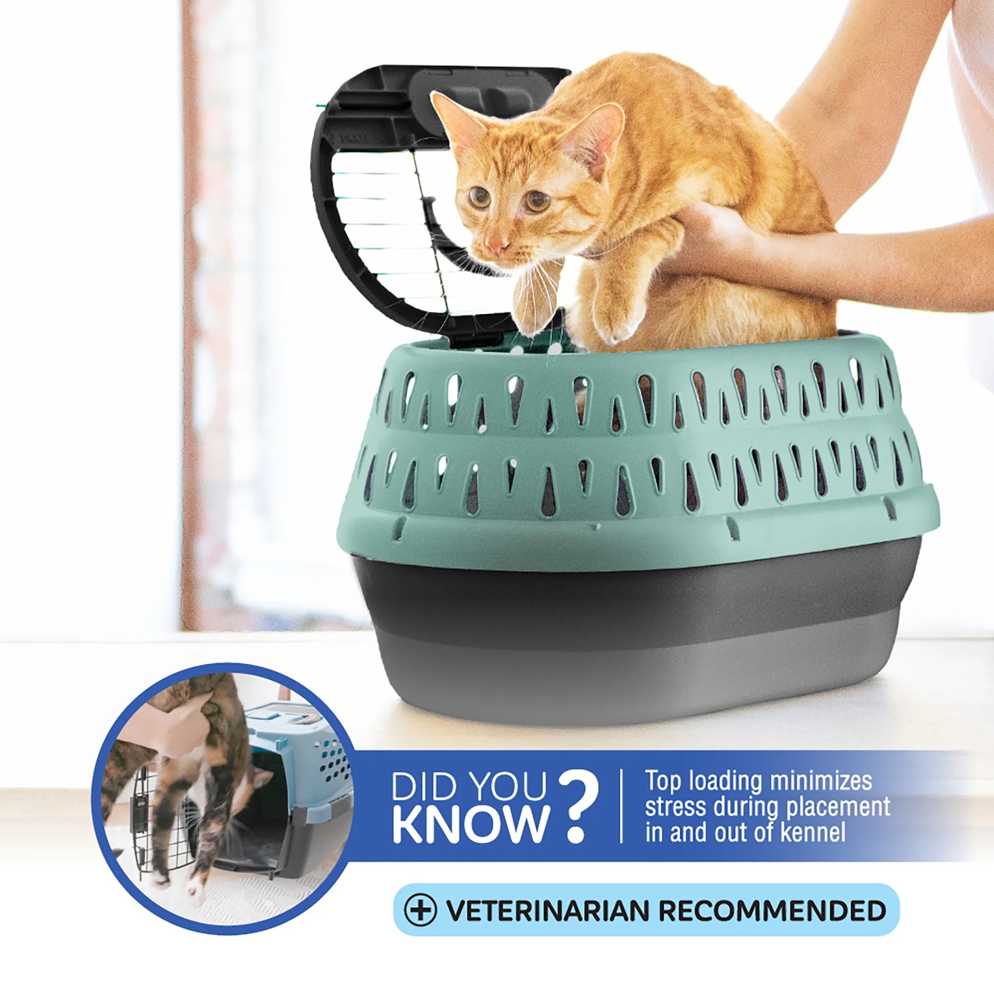 Top Load Pet Carrier for Cats, 19" Length, Suitable for Pets up to 10 lbs, Green