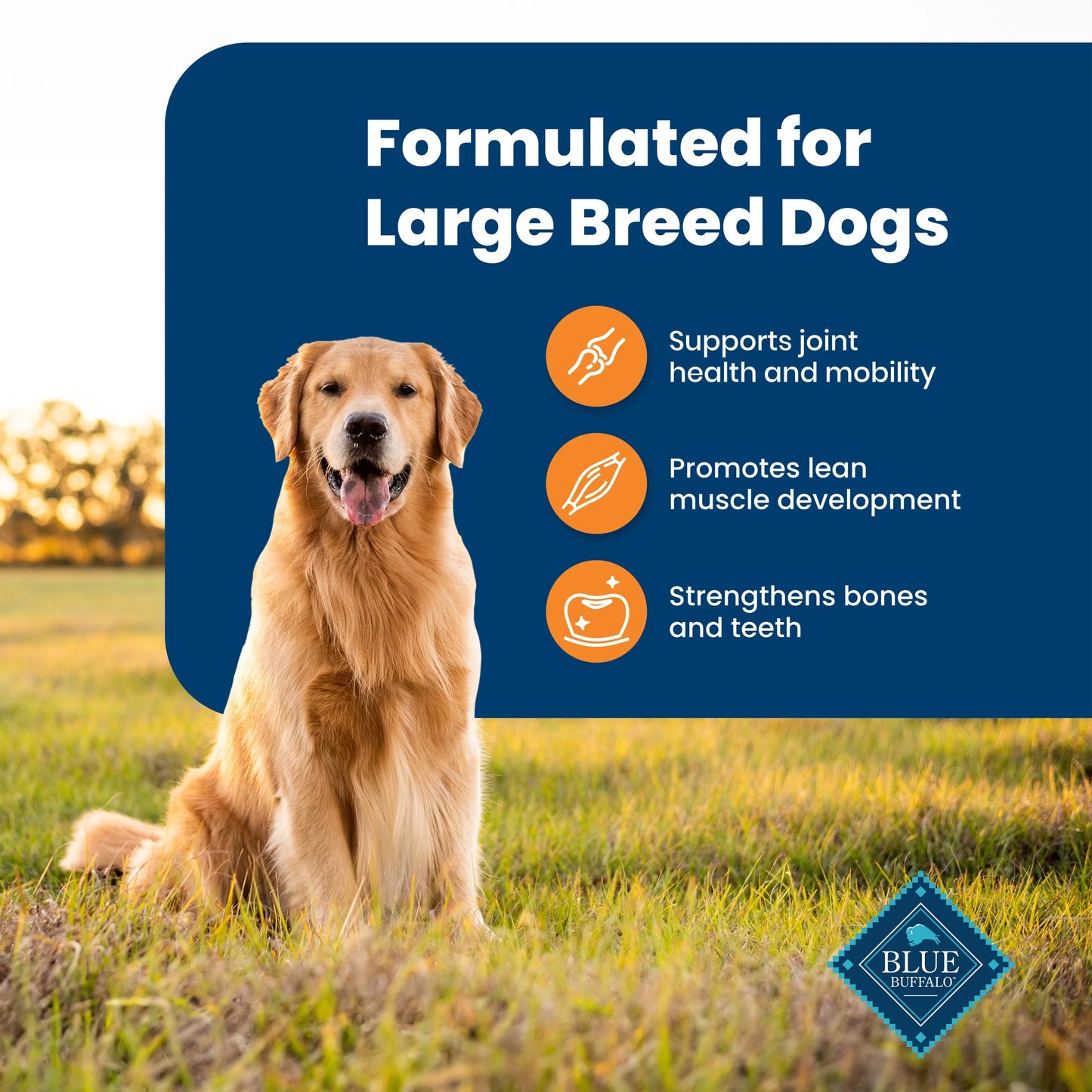 Life Protection Formula Large Breed Dry Dog Food with Chicken and Rice, 24 lb. Bag