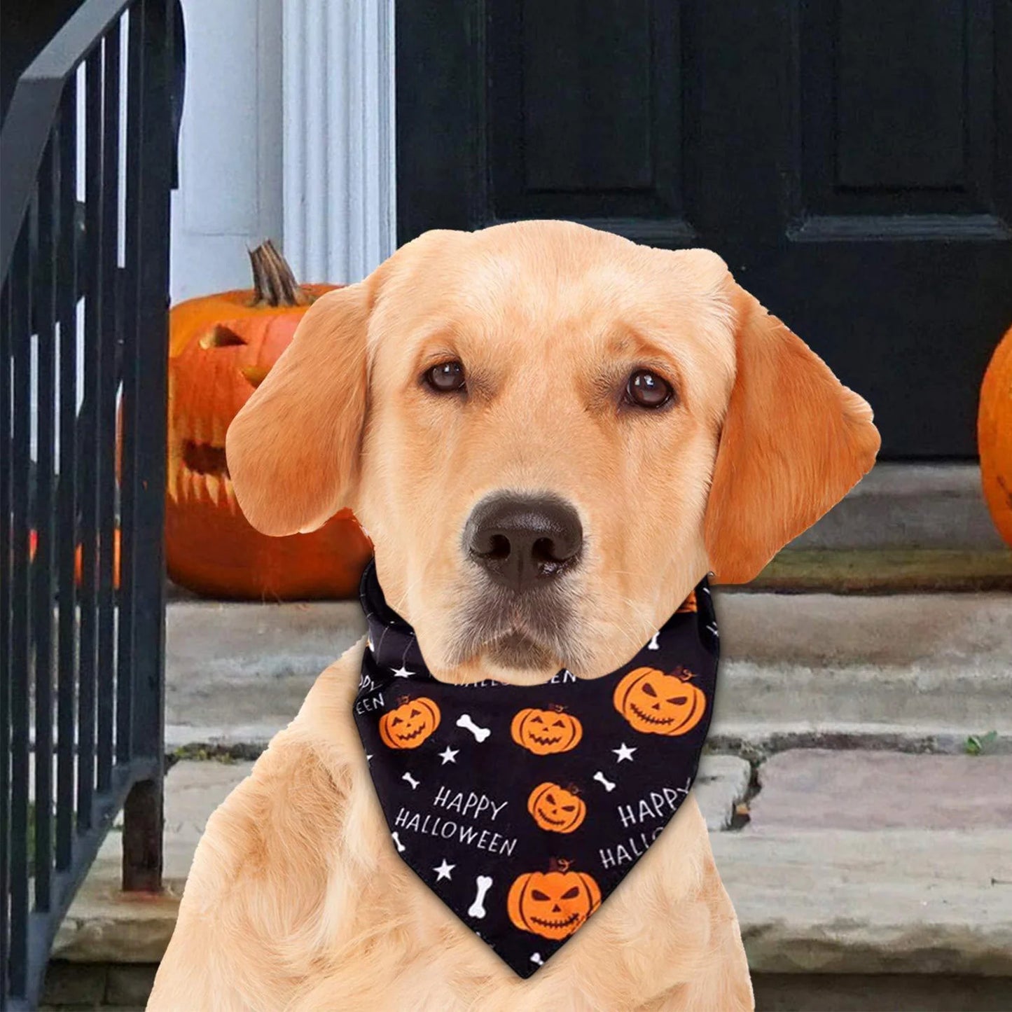 Halloween Dog Bandanas - Soft, Washable Pet Scarves Featuring Festive Pumpkin, Ghost, and Bone Designs for Small, Medium, and Large Dogs (Black, Purple)