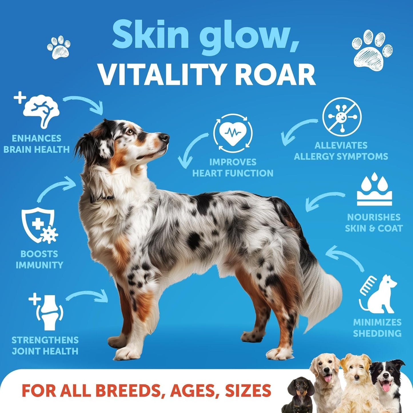 Salmon Oil for Dogs - Omega 3 for Dogs - 8 FL OZ Wild Alaskan Salmon Fish Oil - Natural EPA & DHA Fatty Acids for Skin & Coat, Allergy, Joint & Bone Health - Liquid Support Supplement for Shedding