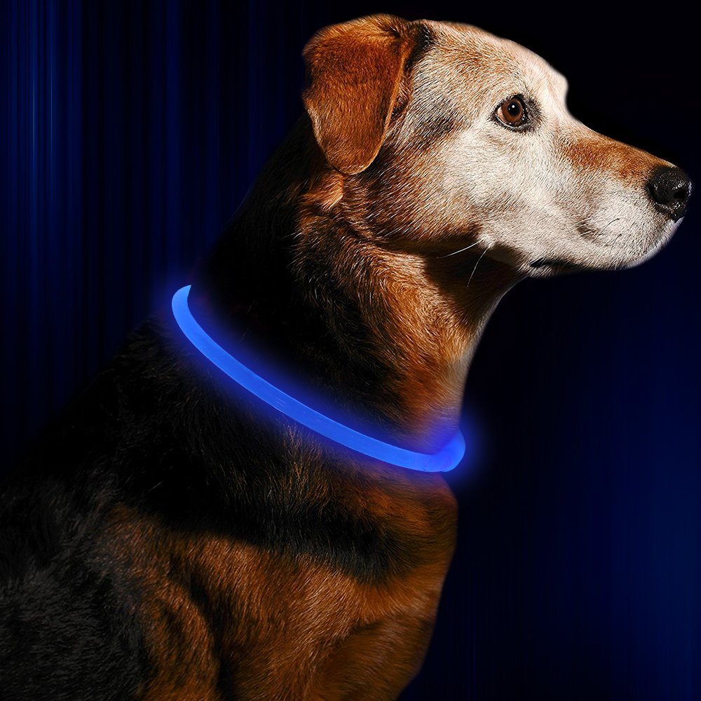 Light up Dog Collar, BSEEN USB Rechargeable Flash Dog Necklace Light, Pet Safety Collar Makes Your Beloved Dogs Be Seen at Night for Small Medium Large Dogs(Blue)