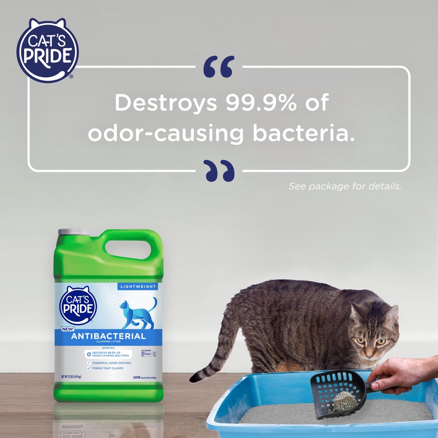 Cat's Pride New Antibacterial Cat Litter: Destroys 99.9% of Odor-Causing Bacteria - Powerful Odor Control - Premium Lightweight Clumping Litter - Scented, 12 Pounds