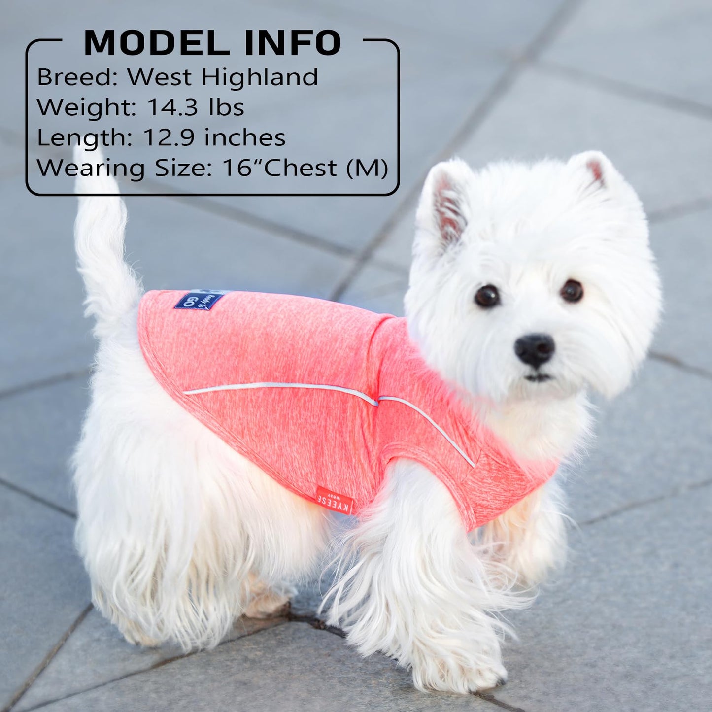 KYEESE Reflective Dog Shirt, Lightweight Sun Protection Dog T Shirts for Small Dogs Boy, Breathable Sleeveless Pet Tank Top High Visibility Summer Dogs Clothes for Night Walking Outdoor, Blue, M