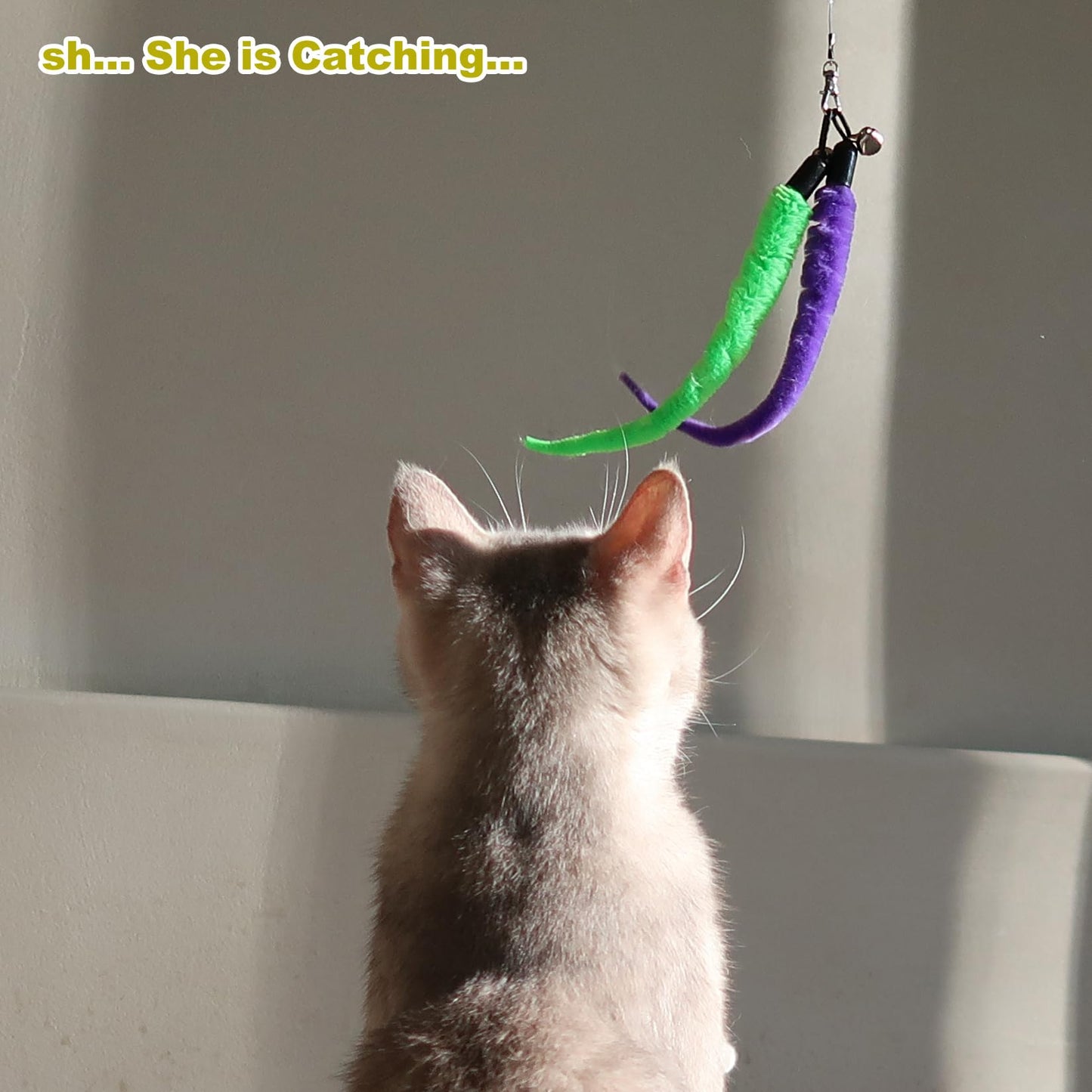 MeoHui Interactive Cat Toys - Retractable Wand Toy and Feather Toys Refills for Indoor Cats to Chase and Exercise