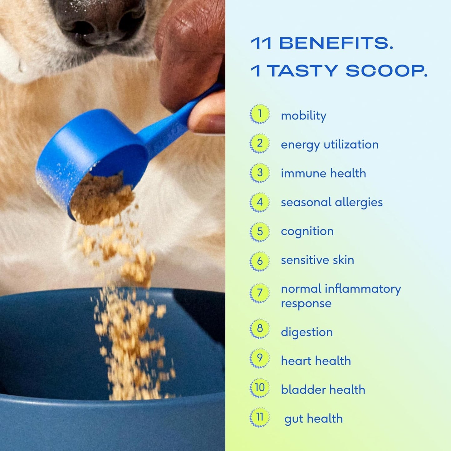 Native Pet Dog Vitamins & Supplements - 30 Scoops - 11-in-1 Multivitamin for Dogs with 21 Supplements & Vitamins – Nutritious Food Topper Powder - Pet Health & Puppy Essentials